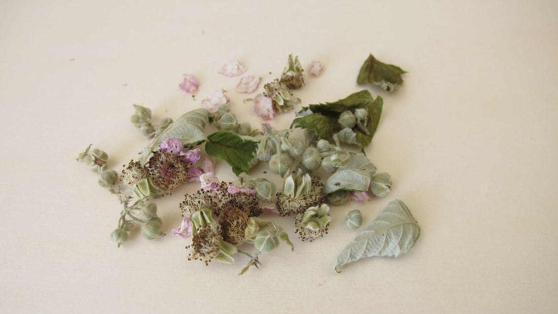 Motherwort herb.  Heart chakra, emotional balance, nurturing herbs