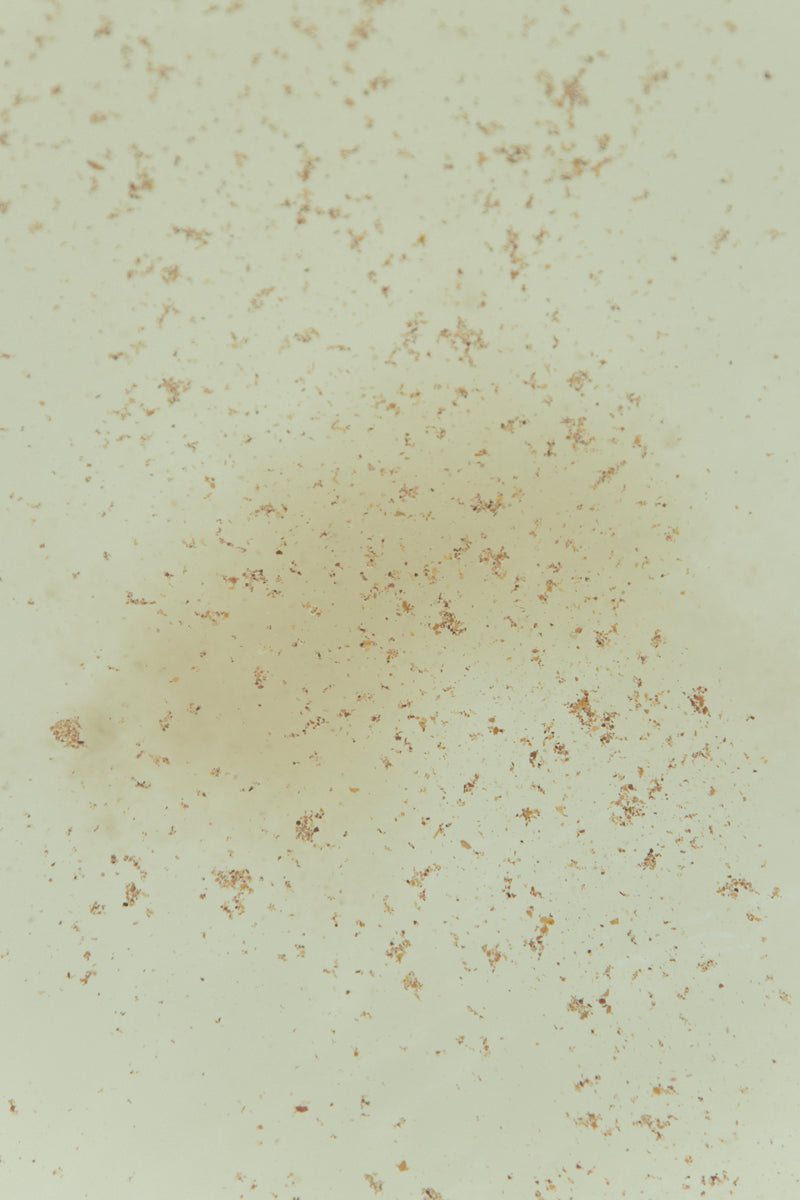 IM_Frequency_Medicine_bath_salts_Cleanse_and_protect in water