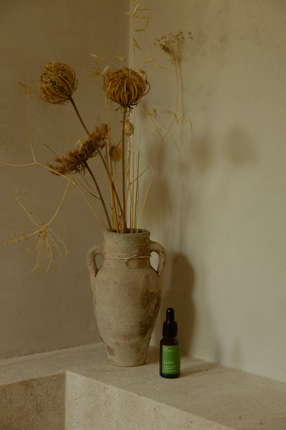 LOVE_Frequency_medicine_elixir with vase dried flowers